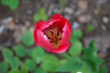 Similar image 21918390