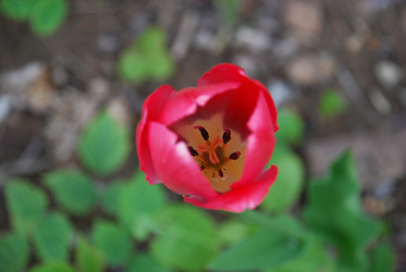 Similar image 21918391