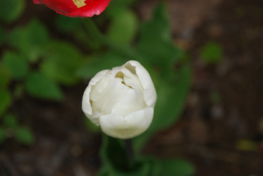 Similar image 21933857