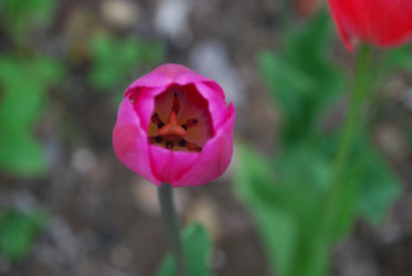 Similar image 21933858