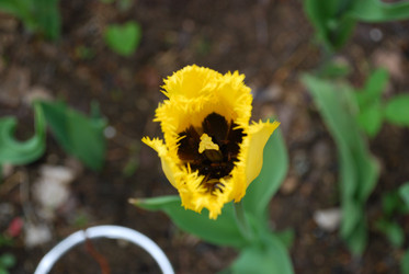 Similar image 21933859