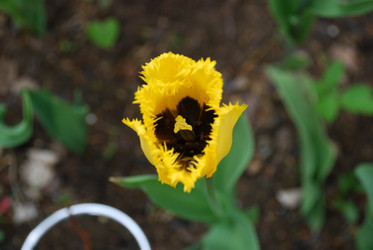 Similar image 21933860