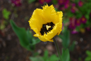 Similar image 21933861