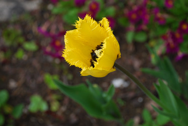 Similar image 21933862