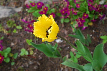 Similar image 21933863