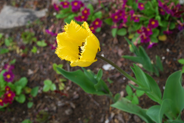 Similar image 21933864