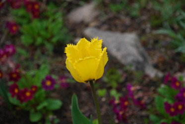 Similar image 21933865