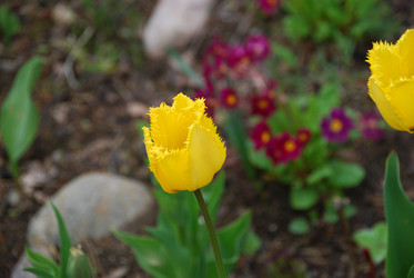 Similar image 21933867