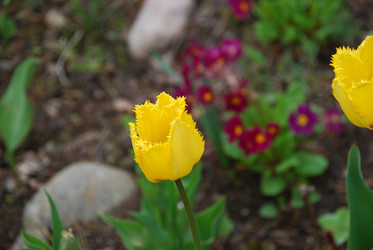 Similar image 21933868