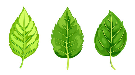 Similar image 21937933