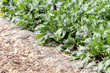 Similar image 21942137