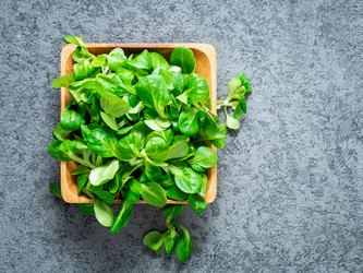 Similar image 21935025