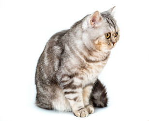 Similar image 21935154