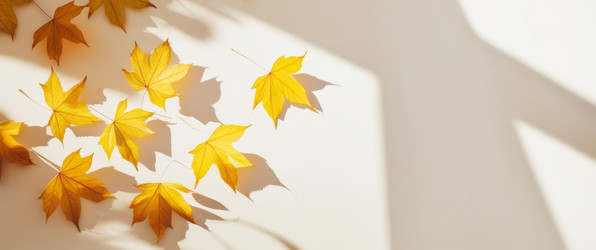 Similar image 21918452