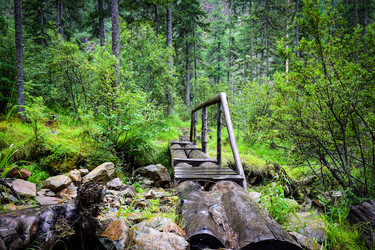 Similar image 21933720