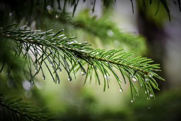 Similar image 21933722