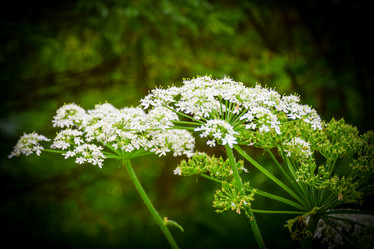 Similar image 21933723