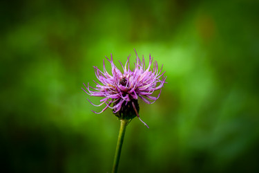 Similar image 21933724