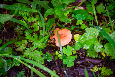 Similar image 21933727