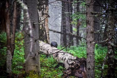 Similar image 21933729