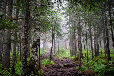 Similar image 21933730