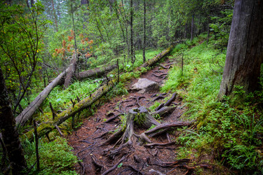 Similar image 21933872