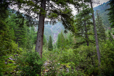 Similar image 21933873