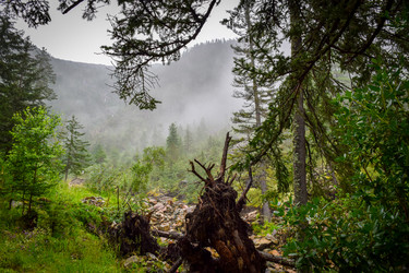 Similar image 21933877