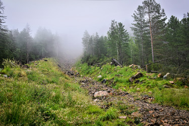 Similar image 21933879