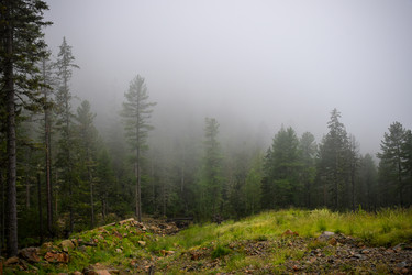 Similar image 21933880