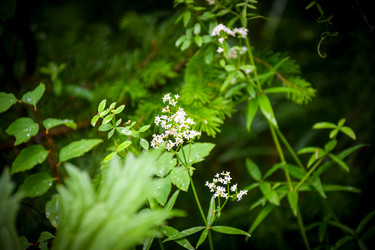 Similar image 21933882