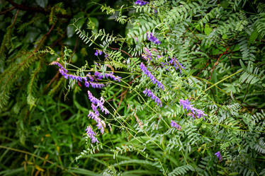 Similar image 21933883