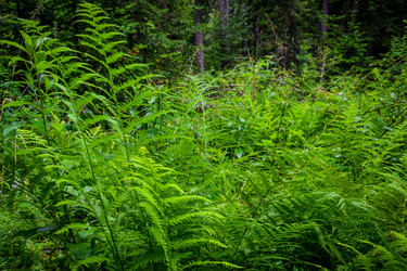 Similar image 21933884