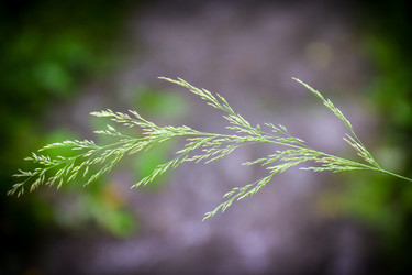 Similar image 21933885