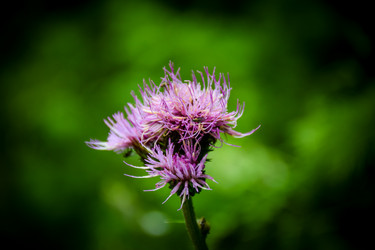 Similar image 21933886