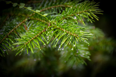 Similar image 21933887