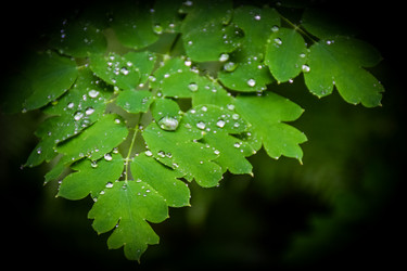 Similar image 21933888