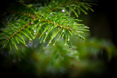 Similar image 21933889