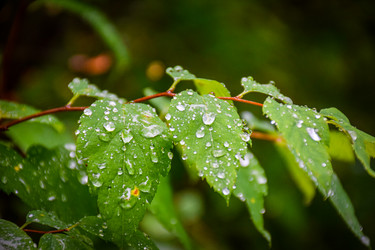 Similar image 21933890