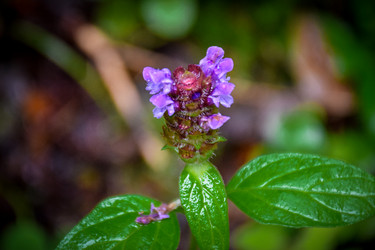 Similar image 21933891