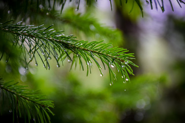 Similar image 21933892