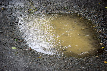 Similar image 21933893