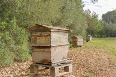 Similar image 21918343