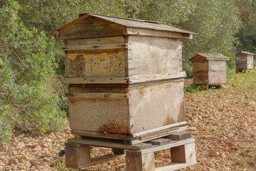 Similar image 21918344