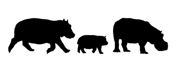 Similar image 21936047