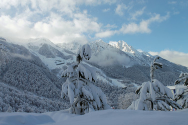 Similar image 21933341