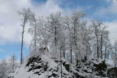 Similar image 21933345