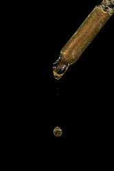 Similar image 21933354