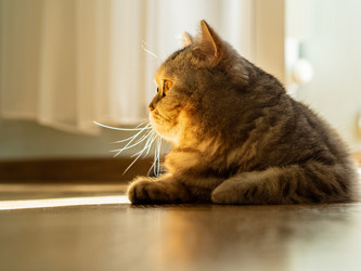 Similar image 21935239