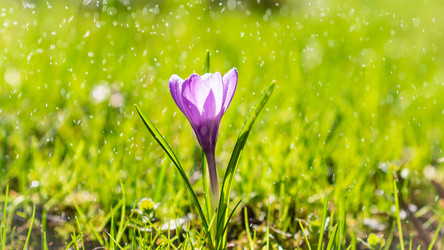 Similar image 21935240